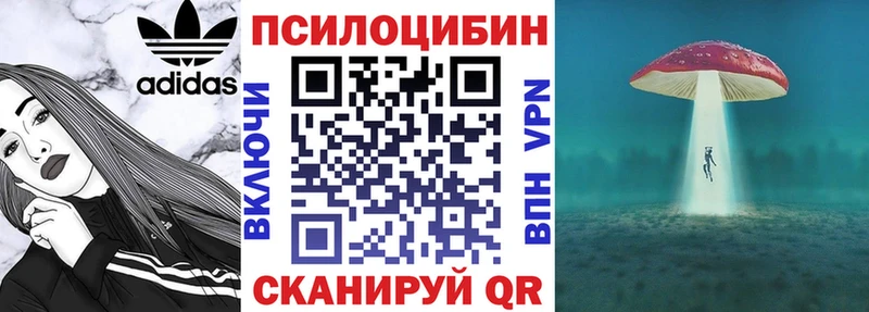 где найти Мытищи МЕГА ТОР Псилоцибиновые грибы GOLDEN TEACHER