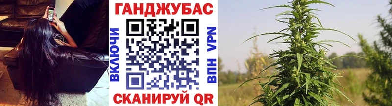 Конопля планчик  магазин продажи наркотиков  Мытищи 